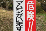 【閲覧注意】マムシに噛まれた人、とんでもなくヤバい事になってしまう…(画像ｱﾘ)