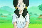 「ドラゴンボール」のビーデルとかいう声と顔と性格とスタイルが良いだけの女キャラｗｗｗｗｗ