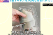包丁キャンセル界隈、爆誕 Z世代「まだ包丁で魚を捌いているの？w　普通ハサミ使うよね」
