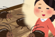 彼女にゴキブリ飼ってるカミングアウトされたんだが