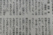 【画像】主婦（90）「私にも国会議員が出来る気がしてきた」