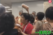 【動画】中国に出店したコストコの末路ｗｗｗｗｗ