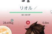【ポケモンGO】リオル・・・惜しいorz