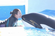 【画像】シャチトレーナーのお姉さんが魅力的すぎる