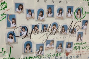 【日向坂46】ひよたんポスターが可愛すぎるｗｗｗｗｗｗｗｗｗｗ