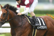 【競馬】　タワーオブロンドン、スプリンターズS回避　藤沢調教師｢爪の状態がよくない｣