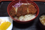+500枚でやめなかったせいで五万円溶けた、もうカツ丼食うわ