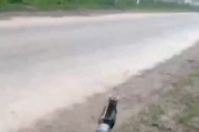【動画】ドローンの迎撃に失敗して重傷を負ったウクライナ兵のPOV。