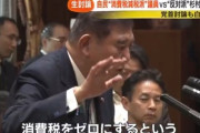 【自民党】減税反対の石破茂　国会でデマを流す「消費税０%にするのにどれくらい期間かかるのか、スーパーの経営者に聞いてみて下さい。１年くらいかかります！」←嘘でした