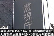 警察「これ大麻だろ！逮捕だ！」→科捜研「大麻じゃありません」→警察「すみませんでした」
