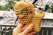 外国人「日本のたい焼きって一体どんな味がするんだ…？」