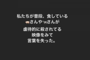 【正論】板野友美さん「動物の命のためにミートフリーデーを作る」