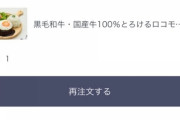 【画像】たっかいハンバーグの出前頼んだったんだが