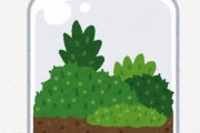 観葉植物→瓶テラリウム→水槽テラリウムときてそろそろ生き物を飼いたくなってきた