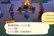 『あつまれ どうぶつの森』の島の名前が決まらないンゴおおおおおおお