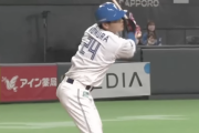 日ハム野村が内川目指す言うてるんやが誰か止めてくれや