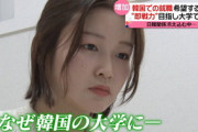 【日テレ】韓国で就職したいと思う日本の若者が増加…「若者同士は交流があるのに、なぜ日韓関係は悪化していくのだろう」