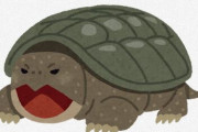 【静岡】攻撃的な性格、「カミツキガメ」にご用心 静岡の遊水地で相次ぎ確認