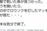 【悲報】ＡＳＫＡが因縁の日に謎ツイート「うちに『元ホワイトハッカー』が来られた。逆監視中です」