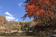 【沼田市】星の降る森【動画】紅葉の見頃11月上旬