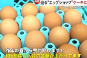 卵の価格が高騰… 2023年春のエッグショックレベルの水準に