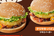 バーガーキングさん、「パイナップル」を挟んだ『パイン ツキミバーガー』を販売ｗｗｗｗｗｗｗ