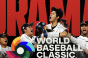 【悲報】WBC見るためにNetflix入る人、いないらしい