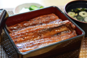 【悲報】水産学を修めし者ワイ、めっちゃウナギを食べたいのに食べれない😭