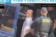 【デンマーク】環境活動家グレタ・トゥーンベリ、ガザ戦争抗議活動で逮捕