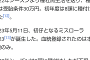リュウノユキナが引退。そして種牡馬入り
