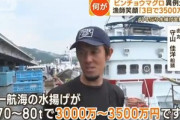 【朗報】漁師｢2～3日で3500万円｣ 房総沖でビンチョウマグロとり放題