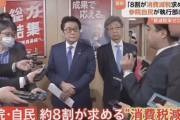 自民党の参議院議員の８割「消費税減税やれ！！！」参院選前になって急に動き出す