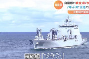 真実なんて見たくないニダ！　〜　【観艦式参加】韓国軍関係者「海上自衛隊旗は１９５３年から使われ、中国を含む国際社会がこれを正式に受け入れている」