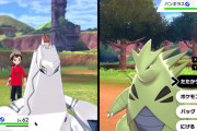 ポケモン剣盾やり込もうと思ってるけど