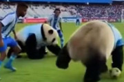 中国人「サッカーACLE、町田ゼルビアと成都蓉城の試合の無茶苦茶なゴールシーン」　中国人「なんだこれ」「GKはいくらもらった」