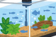 【悲報】アクアリウム、流行らない・・・　なぜなのか？