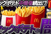 マックでポテトM頼むやつ何考えてんの？