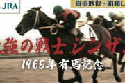 今まで生きてた中で1番カッコイイと思った競走馬の馬名