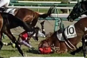 【動画】新年最初のレースで落馬事故、がちでヤバイ・・・