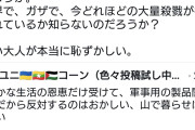 火の玉ストレート！　〜　鈴木紗理奈「豊かな生活の恩恵だけ受けて、軍事用の製品開発だから反対するのはおかしい」←パヨク発狂