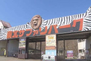 「ライオンの檻のなかで人が倒れている」東北サファリパーク従業員が首から血を流し意識不明に
