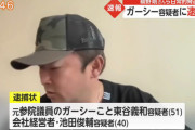 【悲報】ガーシーさん、たった数日で容疑者呼ばわりされるようにww
