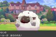 野生のポケモンって可哀想だけど負けたら死んでるよな