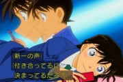 新一「やっと元に戻れたぜ～」 蘭「うちにいたコナン君って奴が消えちゃったの！探して新一！」
