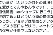 女性駅員さん｢駅員に平気で質問する人って仕事できなさそう。スマホで調べれば良いのに。｣　←　これｗｗｗｗｗｗｗｗｗ