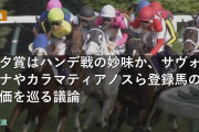 七夕賞はハンデ戦の妙味か、サヴォーナやカラマティアノスら登録馬の評価を巡る議論