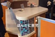 【悲報】Z世代女子高生、牛丼屋で大暴れしてしまうｗｗｗｗｗ