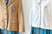 【興奮注意】母校の制服がコスプレみたいなんだが…