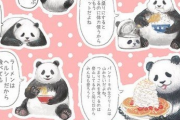 「ラーメンはヘルシーだから食べても太らないよ」　深夜に飯テロする「悪いことを言うパンダ」のシールが登場　ライダーがダイエット頑張るスレ