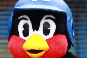 【悲報】つば九郎、ガチで他球団移籍か　今年は年俸2万8000円とヤクルト1000飲み放題